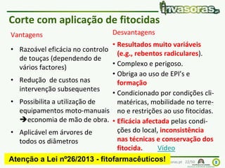 Identificação e controlo eficiente de plantas invasoras|7 Maio 15 | Vale de Cambra www.invasoras.pt 22/50
Vantagens
• Razoável eficácia no controlo
de touças (dependendo de
vários factores)
• Redução de custos nas
intervenção subsequentes
• Possibilita a utilização de
equipamentos moto-manuais
economia de mão de obra.
• Aplicável em árvores de
todos os diâmetros
Corte com aplicação de fitocidas
Desvantagens
• Resultados muito variáveis
(e.g., rebentos radiculares).
• Complexo e perigoso.
• Obriga ao uso de EPI’s e
formação
• Condicionado por condições cli-
matéricas, mobilidade no terre-
no e restrições ao uso fitocidas.
• Eficácia afectada pelas condi-
ções do local, inconsistência
nas técnicas e conservação dos
fitocida. Vídeo
Atenção a Lei nº26/2013 - fitofarmacêuticos!
 