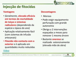 Identificação e controlo eficiente de plantas invasoras|7 Maio 15 | Vale de Cambra www.invasoras.pt 30/50
Vantagens
• Geralmente, elevada eficácia
em termos de mortalidade
de toiças e sistemas
radiculares (dependendo da
espécie e época do ano)
• Aplicação relativamente fácil
(com sistemas de infusão
artesanais)
• Fitocida não contacta com o
exterior e é aplicado em
quantidades muito reduzidas
Vídeo
Desvantagens
• Moroso
• Pode exigir equipamento
perfuração com grande
autonomia
• Obriga a 2 intervenções
espaçadas a meses para
remover 1 mesma árvore
• Bastante oneroso se
realizado extensivamente
(elevada mão de obra)
Injecção de fitocidas
 
