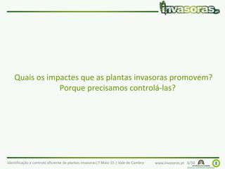 Identificação e controlo eficiente de plantas invasoras|7 Maio 15 | Vale de Cambra www.invasoras.pt 6/50
Quais os impactes que as plantas invasoras promovem?
Porque precisamos controlá-las?
 