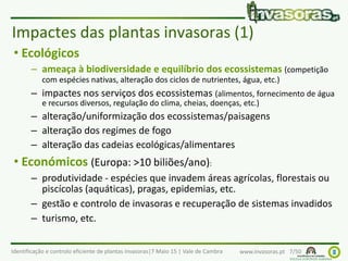 Identificação e controlo eficiente de plantas invasoras|7 Maio 15 | Vale de Cambra www.invasoras.pt 7/50
• Ecológicos
– ameaça à biodiversidade e equilíbrio dos ecossistemas (competição
com espécies nativas, alteração dos ciclos de nutrientes, água, etc.)
– impactes nos serviços dos ecossistemas (alimentos, fornecimento de água
e recursos diversos, regulação do clima, cheias, doenças, etc.)
– alteração/uniformização dos ecossistemas/paisagens
– alteração dos regimes de fogo
– alteração das cadeias ecológicas/alimentares
• Económicos (Europa: >10 biliões/ano):
– produtividade - espécies que invadem áreas agrícolas, florestais ou
piscícolas (aquáticas), pragas, epidemias, etc.
– gestão e controlo de invasoras e recuperação de sistemas invadidos
– turismo, etc.
Impactes das plantas invasoras (1)
 