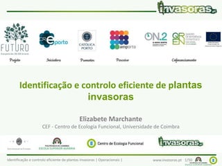 Identificação e controlo eficiente de plantas invasoras | Operacionais | www.invasoras.pt 1/50
Identificação e controlo eficiente de plantas
invasoras
Elizabete Marchante
CEF - Centro de Ecologia Funcional, Universidade de Coimbra
 