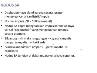 • Disebut pemacu alami karena secara teratur
mengeluarkan aliran listrik/impuls
• Normal impuls (60 – 100 kali/menit)
• Nodus SA dapat menghasilkan impuls karena adanya
sel-sel “pacemaker” yang mengeluarkan umpuls
secara otomatis
• Bila ssorg mrh maka rangsangan >> syaraf simpatis
dan parasimpatis >> takikardi
• “valsava manuever” simpatis , parasimpatis >>
bradikardi
• Nodus SA terletak di dekat muara vena kava superior.
 
