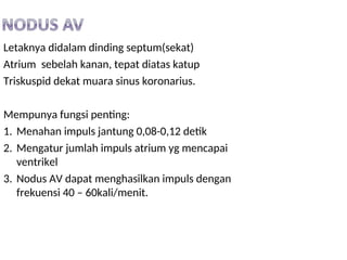 Letaknya didalam dinding septum(sekat)
Atrium sebelah kanan, tepat diatas katup
Triskuspid dekat muara sinus koronarius.
Mempunya fungsi penting:
1. Menahan impuls jantung 0,08-0,12 detik
2. Mengatur jumlah impuls atrium yg mencapai
ventrikel
3. Nodus AV dapat menghasilkan impuls dengan
frekuensi 40 – 60kali/menit.
 