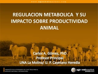 REGULACION METABOLICA  Y SU IMPACTO SOBRE PRODUCTIVIDAD ANIMAL Carlos A. Gómez, PhD Profesor Principal UNA La Molina/ U. P. Cayetano Heredia 