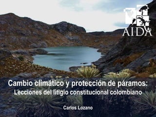 Cambio climático y protección de páramos:
Lecciones del litigio constitucional colombiano
Carlos Lozano
 