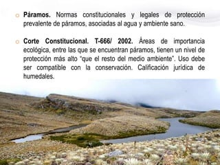 Cambio climático y protección de páramos: Lecciones del litigio constitucional colombiano