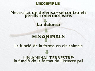 L’EXEMPLE

Necessitat de defensar-se contra els
      perills i enemics varis
             La defensa

          ELS ANIMALS
 La funció de la forma en els animals

       UN ANIMAL TERRESTRE:
 la funció de la forma de l’insecte pal
 