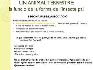 UN ANIMAL TERRESTRE:
la funció de la forma de l’insecte pal
                   SEGONA FASE: L’ASSOCIACIÓ
  Activitats que es podrien portar a terme:
   Recerca d’informació en llibres, imatges, gràfics… sobre el medi que envolta l’insecte,
     si tots els insectes pal tenen la mateixa forma…
   Interpretar els documents cercats
   Relacionar el que s’ha observat amb la pròpia experiència


     A què s’assembla l’insecte pal? Què té en comú amb…? Amb què podem
       relacionar-ho? Per què?

   Associació en l’espai
   •Interpretar imatges
   •Visitar a on es troba
   •Consultar mapes, gràfics

   On es troba? Com s’hi troba? En quines condicions? Què necessita per
   viure? Quins són els seus amics? I els enemics? El podríem tenir a classe?
   Què necessitaríem?
 