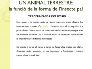 UN ANIMAL TERRESTRE:
la funció de la forma de l’insecte pal
                 TERCERA FASE: L’EXPRESSIÓ

   Una manera de fer-ho seria de forma concreta, materialitzant les
   observacions a través d’un còmic. L’insecte seria el protagonista i a
   partir d’aquí l’infant hauria de crear una història tenint en compte tots
   els elements estudiats. En la història hauria de veure-s’hi representada
   la importància de la forma de l’insecte.


   Els infants crearien el còmic a partir de fotografies tirades per ells/es.
   Aquestes serien copiades en un document a l’ordinador i anirien
   creant el seu treball final.
 