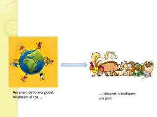 Aprenem de forma global:   …i després n’analitzem
Analitzem el tot…          una part
 