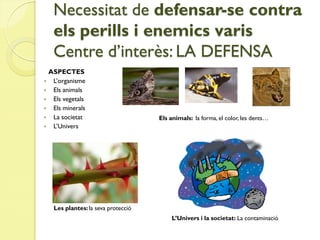 Necessitat de defensar-se contra
   els perills i enemics varis
   Centre d’interès: LA DEFENSA
 ASPECTES
 L’organisme
 Els animals
 Els vegetals
 Els minerals
 La societat                       Els animals: la forma, el color, les dents…
 L’Univers




   Les plantes: la seva protecció
                                         L’Univers i la societat: La contaminació
 