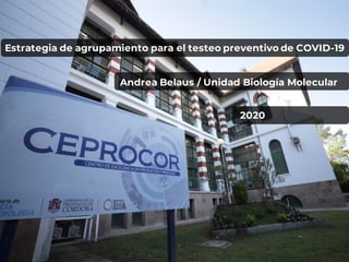 Estrategia de agrupamiento para el testeo preventivo de COVID-19
Andrea Belaus / Unidad Biología Molecular
2020
 