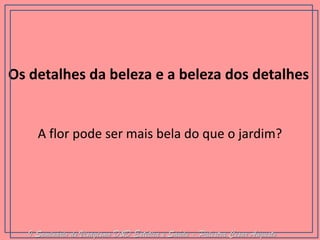 Os detalhes da beleza e a beleza dos detalhes 
A flor pode ser mais bela do que o jardim? I Seminário de Visagismo D&D Estética e Saúde - Palestra Cesar Augusto  