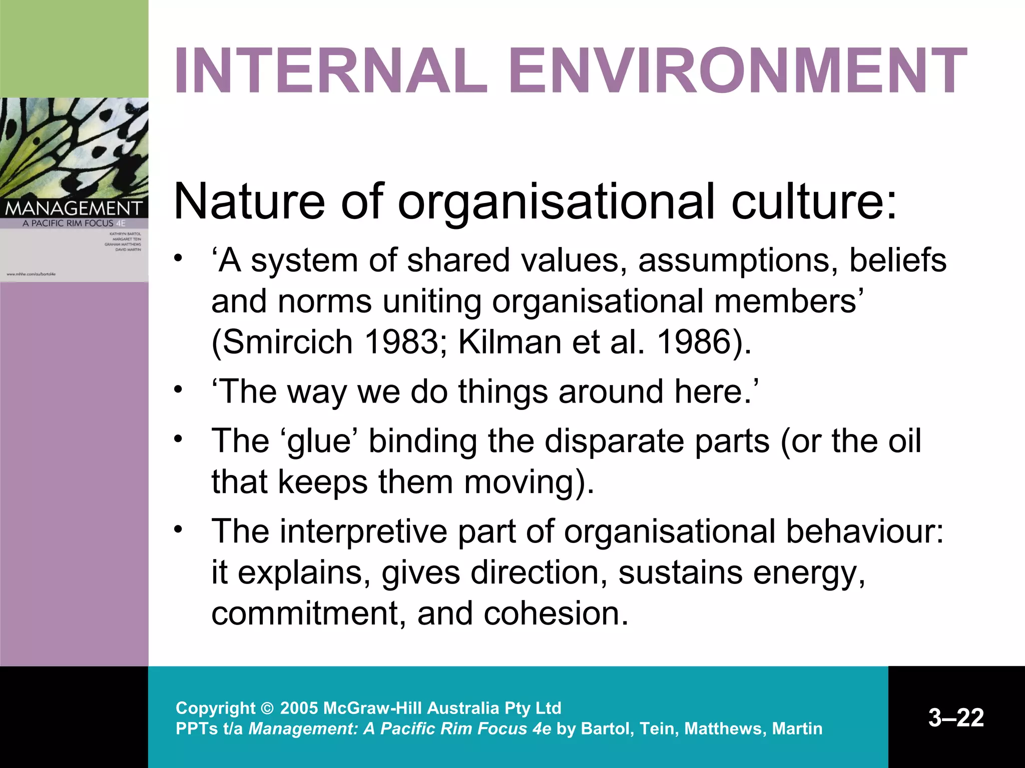 understanding internal and external environment Ppt ch03 | PPT