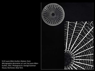 9.22 Laure Albin-Guillot, Diatom, from
Micrographie décorative, pl. xviii, by Laure Albin-
Guillot, 1931. Photogravure. George Eastman
House, Rochester, New York.
 