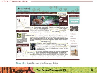 14Web Design Principles 5th
Ed.
 