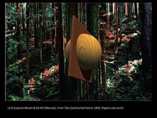 12.0 Suzanne Bloom & Ed Hill (Manual), From The Constructed Forest, 1993. Digital color print.
 