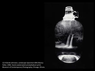 12.9 Derek Johnston, Landscape Specimen 004 (Havisu
Falls), 1996. Hand-coated platinum/palladium print.
Museum of Contemporary Photography, Chicago, Illinois.
 