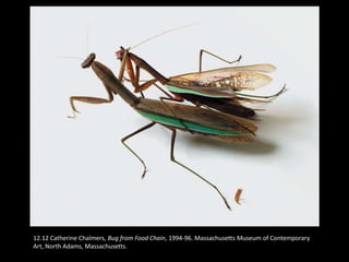 12.12 Catherine Chalmers, Bug from Food Chain, 1994-96. Massachusetts Museum of Contemporary
Art, North Adams, Massachusetts.
 