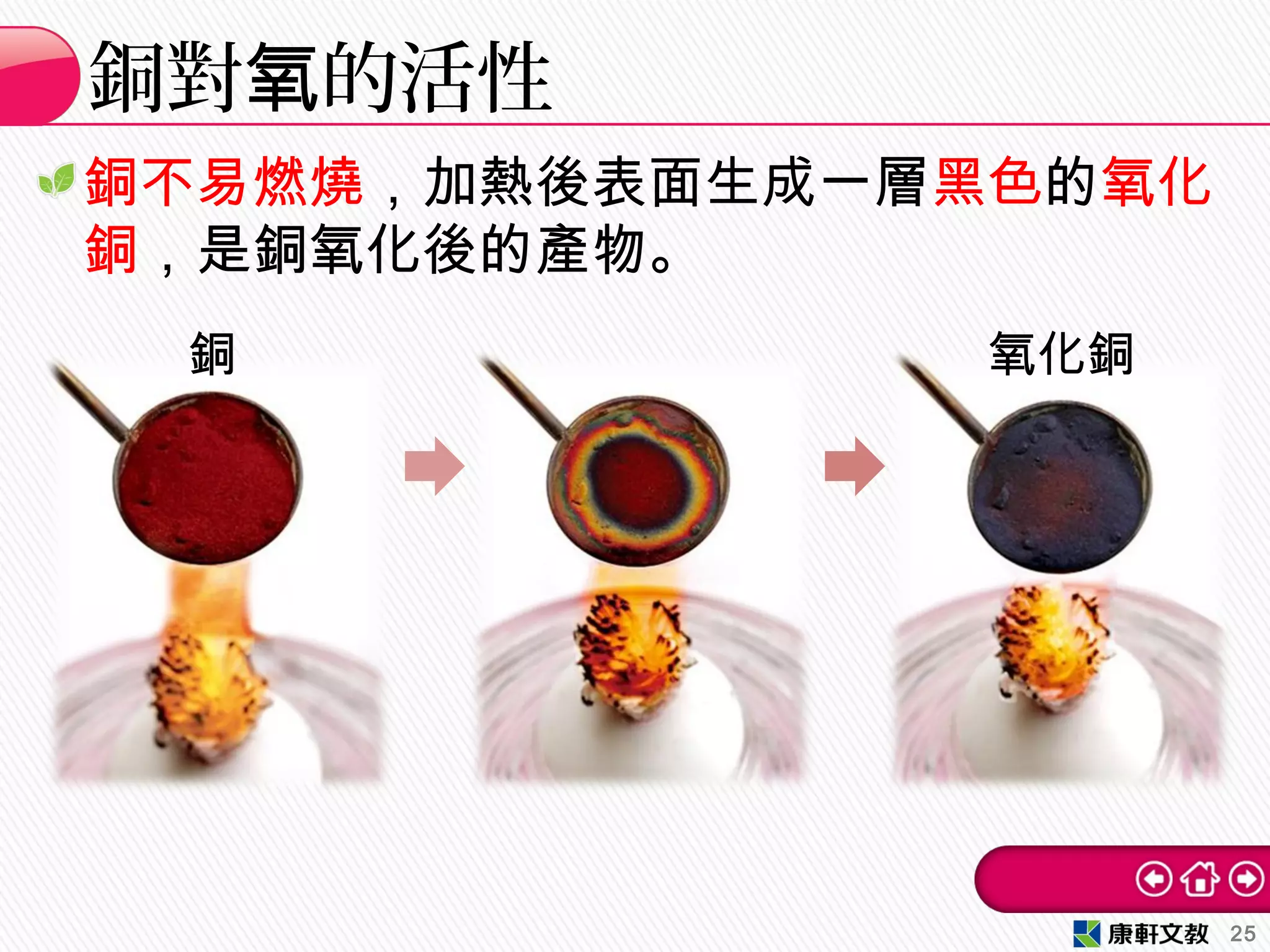 銅不易燃燒，加熱後表面生成一層黑色的氧化
銅，是銅氧化後的產物。
銅對 的活性氧
25
銅 氧化銅
 