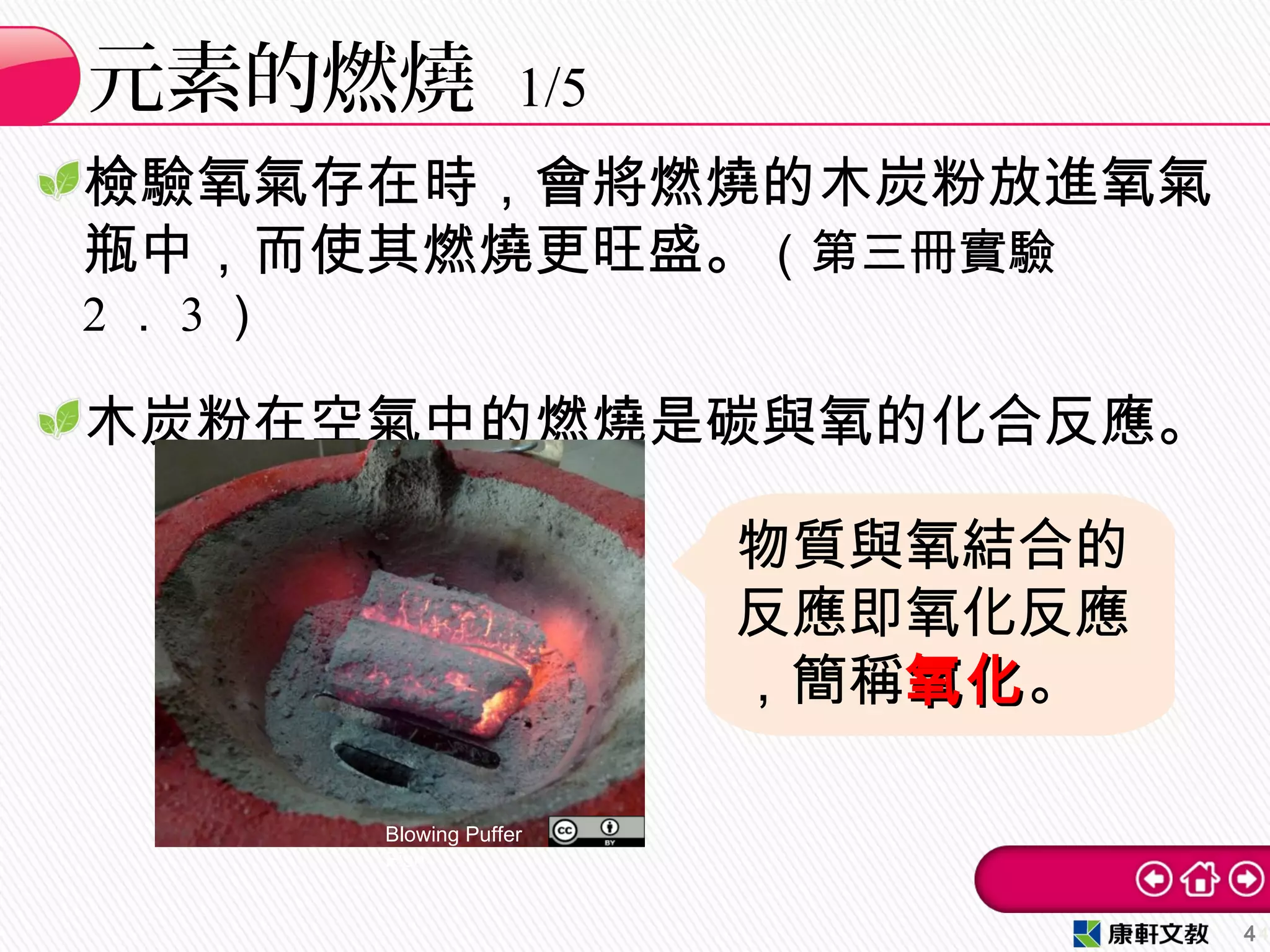 檢驗氧氣存在時，會將燃燒的木炭粉放進氧氣
瓶中，而使其燃燒更旺盛。（第三冊實驗
2 ． 3 ）
木炭粉在空氣中的燃燒是碳與氧的化合反應。
元素的燃燒 1/5
44
Blowing Puffer
Fish
物質與氧結合的
反應即氧化反應
，簡稱氧化氧化。
 