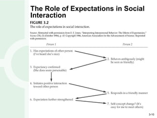 The Role of Expectations in Social Interaction 
