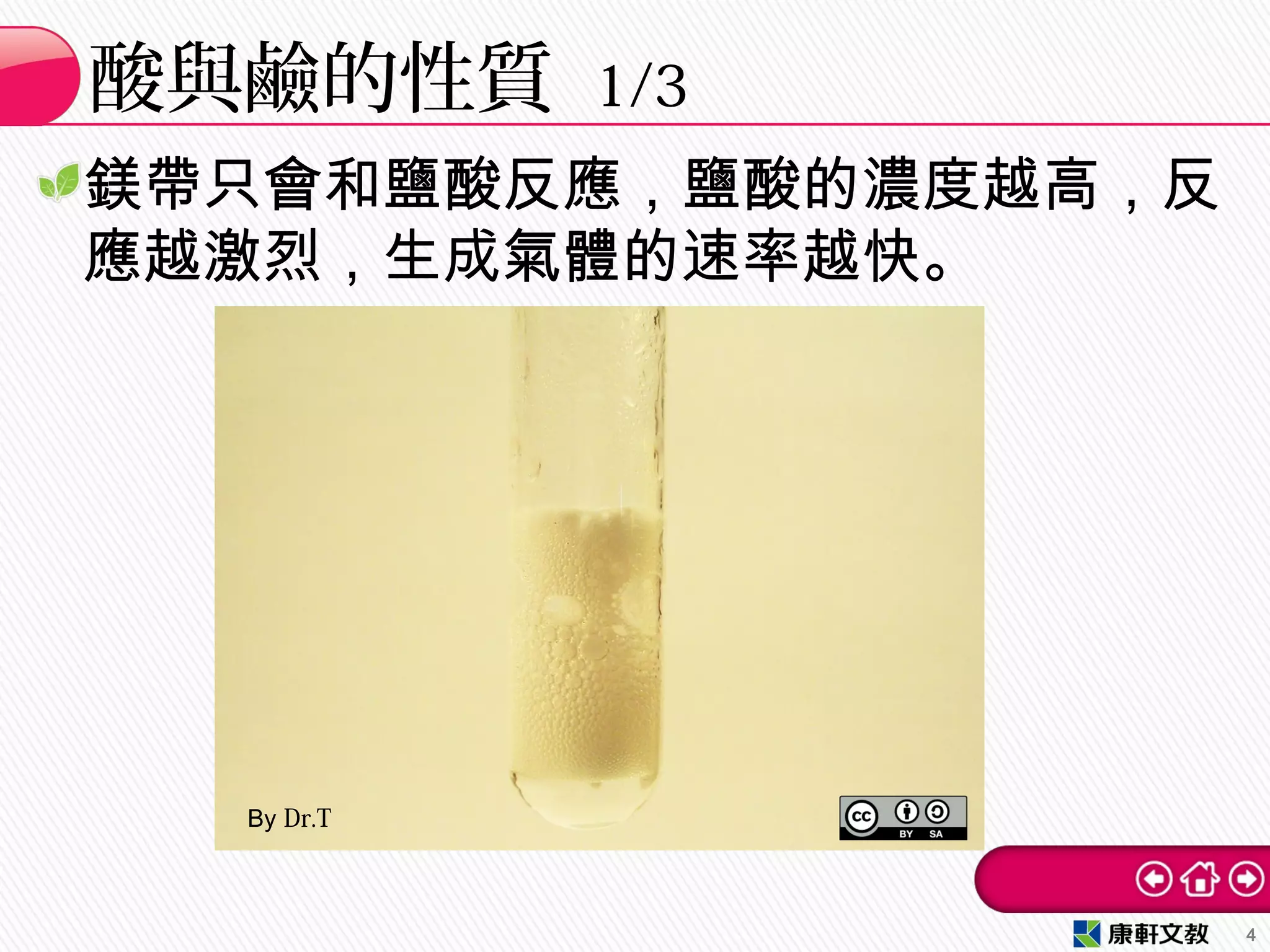 鎂帶只會和鹽酸反應，鹽酸的濃度越高，反
應越激烈，生成氣體的速率越快。
酸與鹼的性質 1/3
4
By Dr.T
 