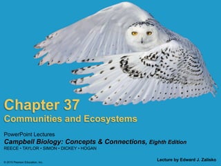 © 2015 Pearson Education, Inc.
PowerPoint Lectures
Campbell Biology: Concepts & Connections, Eighth Edition
REECE • TAYLOR • SIMON • DICKEY • HOGAN
Chapter 37
Lecture by Edward J. Zalisko
Communities and Ecosystems
 
