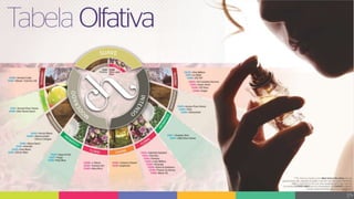 Plano de Marketing Completa Chance Cosméticos 