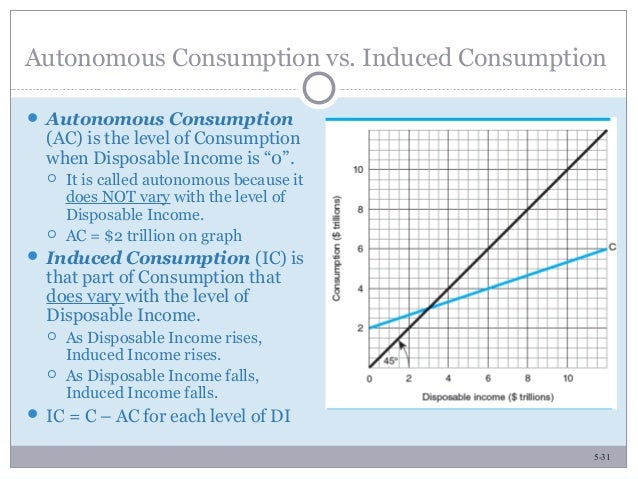 The Household-Consumption Sector