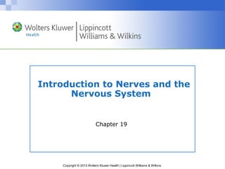 Introduction to Nerves and the 
Nervous System 
Chapter 19 
Copyright © 2013 Wolters Kluwer Health | Lippincott Williams & Wilkins 
 