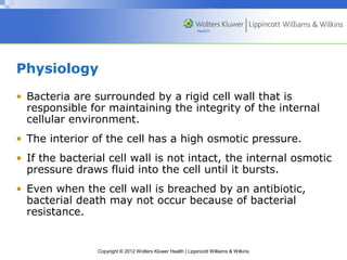 Physiology 
• Bacteria are surrounded by a rigid cell wall that is 
responsible for maintaining the integrity of the internal 
cellular environment. 
• The interior of the cell has a high osmotic pressure. 
• If the bacterial cell wall is not intact, the internal osmotic 
pressure draws fluid into the cell until it bursts. 
• Even when the cell wall is breached by an antibiotic, 
bacterial death may not occur because of bacterial 
resistance. 
Copyright © 2012 Wolters Kluwer Health | Lippincott Williams & Wilkins 
 