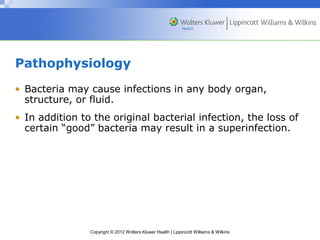 Pathophysiology 
• Bacteria may cause infections in any body organ, 
structure, or fluid. 
• In addition to the original bacterial infection, the loss of 
certain “good” bacteria may result in a superinfection. 
Copyright © 2012 Wolters Kluwer Health | Lippincott Williams & Wilkins 
 