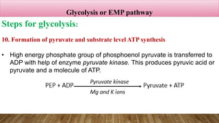 Emp Path ppt chapter 4 respiration- The source of energy.pptx