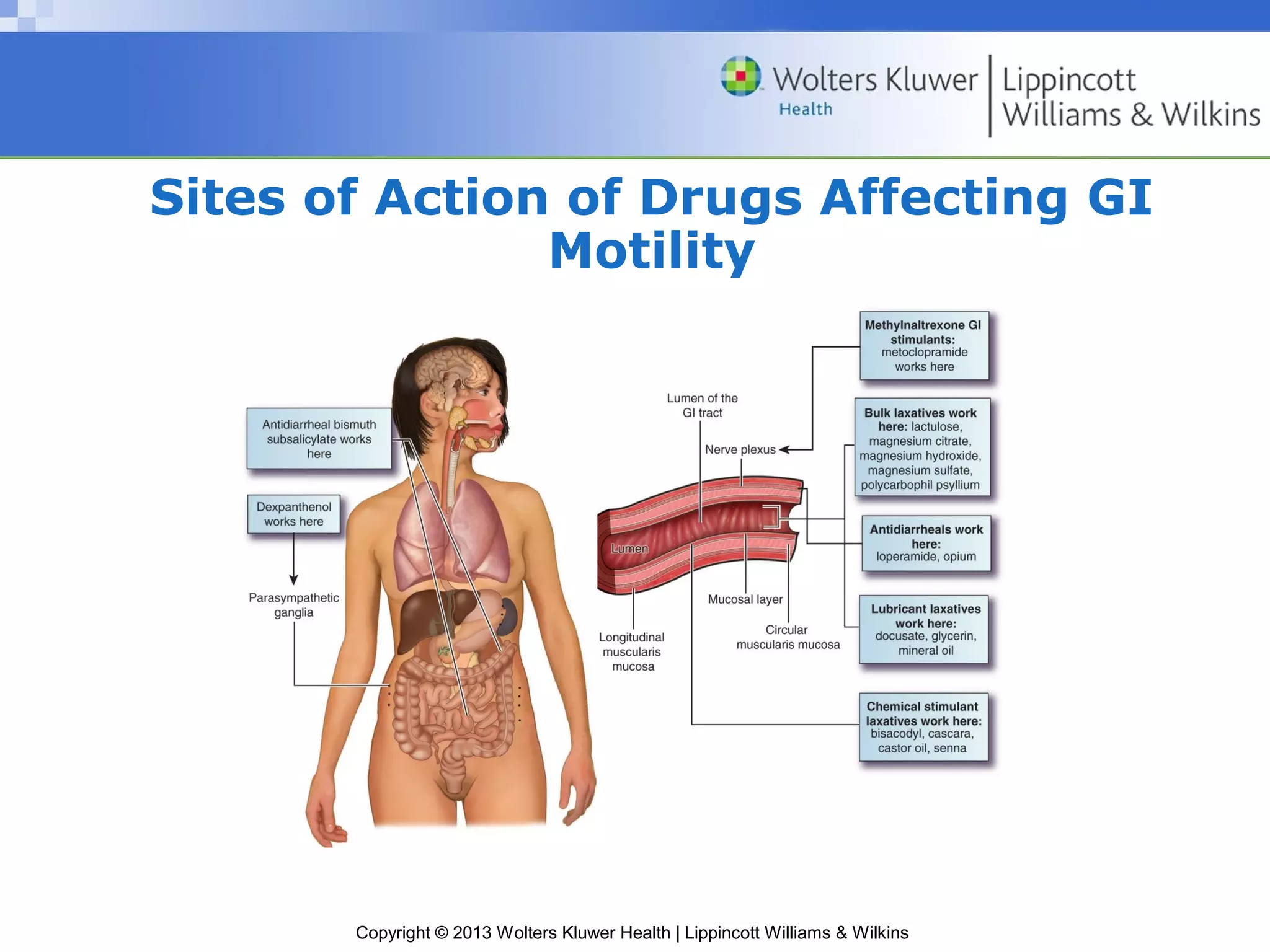 Sites of Action of Drugs Affecting GI 
Motility 
Copyright © 2013 Wolters Kluwer Health | Lippincott Williams & Wilkins 
 