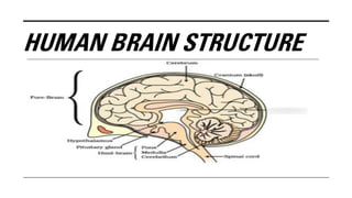 CHAPTER-6 CONTROL AND COORDINATION CLASS 10 [NCERT] | PDF