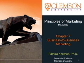 Principles of Marketing
MKT3010
Chapter 7
Business-to-Business
Marketing
Patricia Knowles, Ph.D.
Associate Professor
Clemson University
1
 