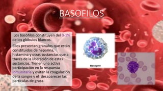 BASOFILOS
Los basófilos constituyen del 0-1%
de los glóbulos blancos.
Ellos presentan gránulos que están
constituidos de heparina,
histamina y otras sustancias que a
través de la liberación de estas
sustancias, Tienen una activa
participación en la respuesta
inmunitaria y evitan la coagulación
de la sangre y el desaparecer las
partículas de grasa.
 