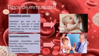Tipos de inmunidad
Inmunidad natural:
Inmunidad que nace con el
individuo y hace que el cuerpo
humano sea resistente a algunas
enfermedades que no son comunes
al género humano.
Inmunidad adquirida:
Inmunidad desarrollada contra
bacterias, virus, toxinas específicas.
Entre ellas están:
• Inmunidad Celular
• Inmunidad Humoral
 