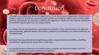 Conclusión
• La sangre es un tejido que recorre el organismo, a través de los vasos sanguíneos, transportando
células y todos los elementos necesarios para realizar sus funciones vitales como el intercambio
gaseoso, distribución de nutrientes y defensa del organismo. Cuenta con dos tipos de elementos:
el contenido líquido (plasma) y las células formes.
• Las células formes se encuentran suspendidas en el plasma. Entre ellas tenemos a los glóbulos
rojos (eritrocito), glóbulos blancos (leucocito) y plaquetas (trombocito); las cuales se fabrican en
la médula ósea.
• Los leucocitos dependiendo de sus gránulos pueden ser granulocitos (eosinófilos, basófilos y
neutrófilos) o agranulocitos (monocitos y linfocitos).
• Las células formes se fabrican en la médula ósea y cumplen con funciones vitales como los
procesos inmunitarios y para la defensa del organismo.
 