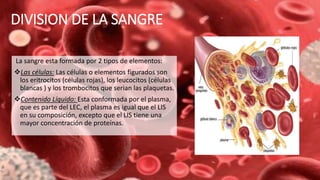 DIVISION DE LA SANGRE
La sangre esta formada por 2 tipos de elementos:
Las células: Las células o elementos figurados son
los eritrocitos (células rojas), los leucocitos (células
blancas ) y los trombocitos que serian las plaquetas.
Contenido Líquido: Esta conformada por el plasma,
que es parte del LEC, el plasma es igual que el LIS
en su composición, excepto que el LIS tiene una
mayor concentración de proteínas.
 