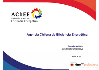Agencia Chilena de Eficiencia Energética, Pamela Mellado