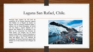 Laguna San Rafael, Chile.
Precioso lago costero de 123 km2 de
superficie en el Parque Nacional Laguna
San Rafael, en la Región de Aysén. La
laguna, que se conecta mediante golfos y
esteros con el Canal Moraleda, se formó
con los hielos y aguas dejadas por el
glaciar San Rafael en su retroceso. A su
lado sur se encuentran los Campos de
Hielo Norte. Los turistas van en barco
desde Puerto Montt y Puerto Chacabuco a
admirar el lago y los desprendimientos de
hielo del glaciar. Con 1,74 millones de
hectáreas, el Parque Nacional Laguna San
Rafael es el más extenso de la Región de
Aysén.
 