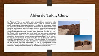 Aldea de Tulor, Chile.
La Aldea de Tulor es uno de los sitios arqueológicos sedentarios más
antiguos del norte de Chile, situado a unos 7,7 km al suroeste de San
Pedro de Atacama, entre la emblemática Cordillera de la Sal y las dunas
de arena que evidencian la progresiva desecación de este entorno. Los
primeros restos fueron encontrados en 1956 por el padre jesuita Gustavo
Le Paige. Las excavaciones continuaron en 1980 por parte de la
arqueóloga Ana María Barón. Ubicada entre el aillu de Tulor y el de Coyo,
la Aldea está compuesta por una serie de estructuras circulares
interconectadas entre sí y que poseían diversos usos y funciones de
acuerdo a las actividades cotidianas que se desarrollaban en su interior.
Su arquitectura comparte muchas similitudes con la observada entre las
culturas precolombinas de los Andes. En esta aldea se produce la
consolidación de un nuevo modo de vida más productor que depredador
de los recursos naturales del entorno, lo que se complementa a una
milenaria tradición de pastoralismo. Las aguas del río San Pedro, que en
esa época desaguaban naturalmente en las inmediaciones del sitio.
 