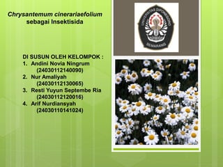 Chrysantemum cinerariaefolium 
sebagai Insektisida 
DI SUSUN OLEH KELOMPOK : 
1. Andini Novia Ningrum 
(24030112140090) 
2. Nur Amaliyah 
(24030112130065) 
3. Resti Yuyun Septembe Ria 
(24030112120016) 
4. Arif Nurdiansyah 
(24030110141024) 
 