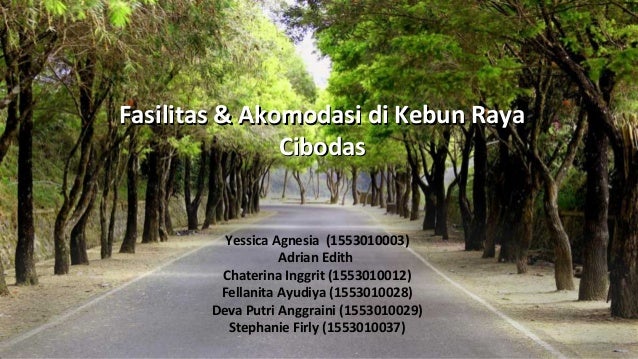 Akomodasi Fasilitas Kebun Raya Cibodas