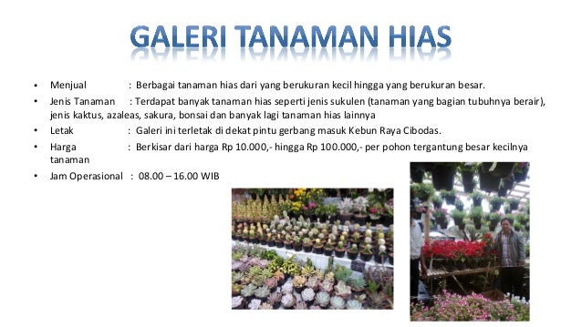 Akomodasi Fasilitas Kebun Raya Cibodas