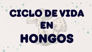 CICLO DE VIDA
EN
HONGOS
 