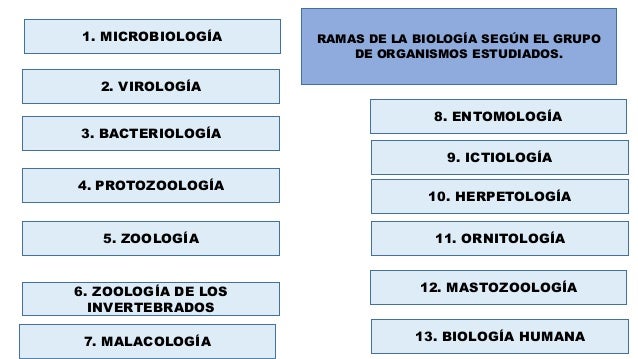 Ppt ciencias afines a la biología nov 2014