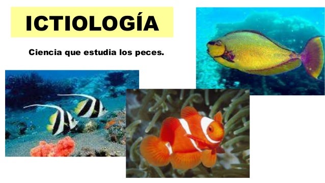 Ppt ciencias afines a la biología nov 2014